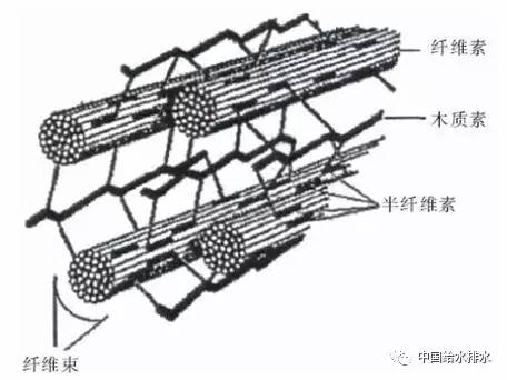 木质纤维素结构